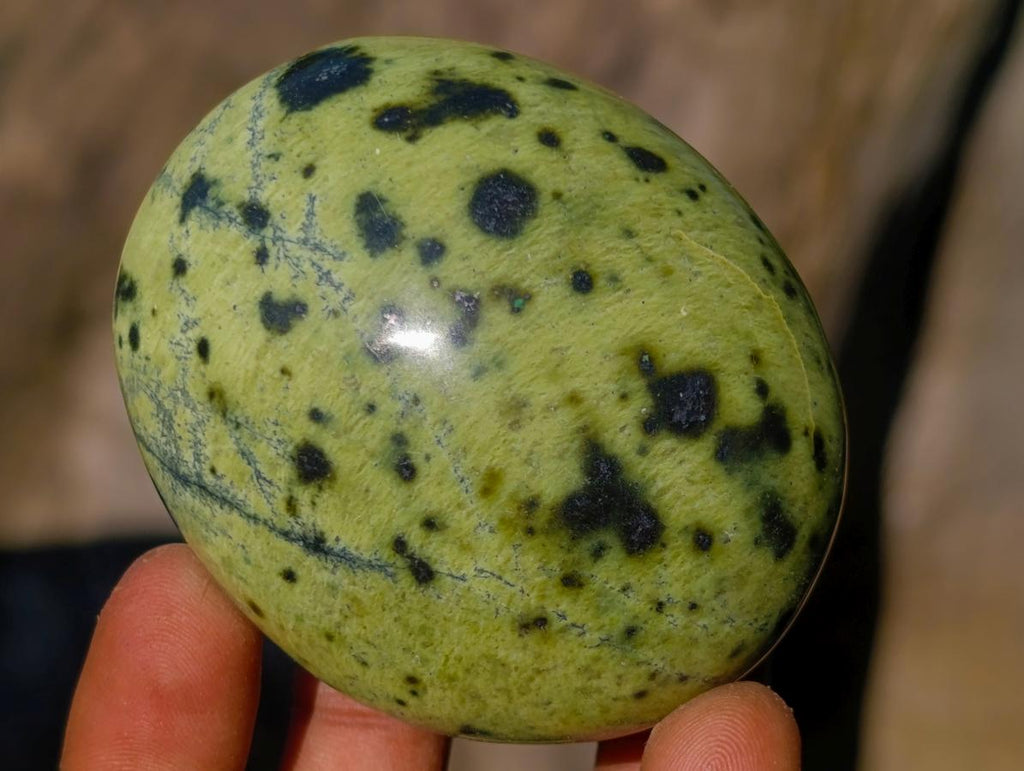 Polished Leopard Stone Free Forms x 6 From Zimbabwe