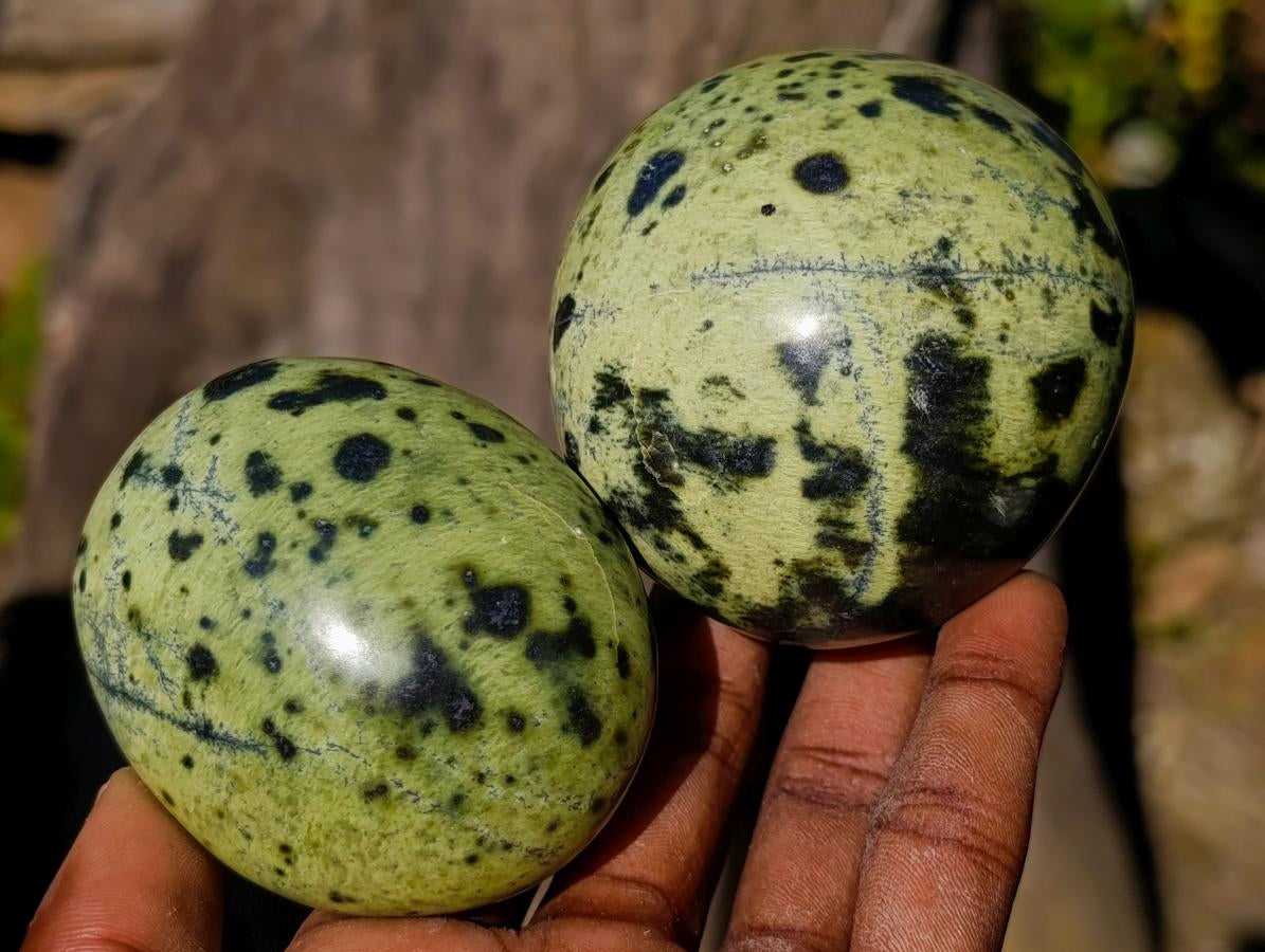 Polished Leopard Stone Free Forms x 6 From Zimbabwe