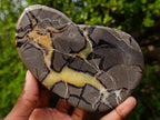 Polished Septerye Slices x 6 From Mahajanga, Madagascar