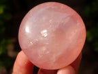 Polished Gemmy Rose Quartz Palm Stones x 20 From Madagascar