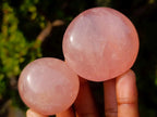 Polished Gemmy Rose Quartz Palm Stones x 20 From Madagascar