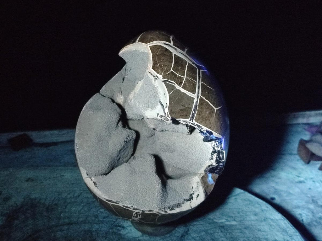 Polished and Natural XL Septerye Sauvage "Dragons Egg" Geode x 1 From Mahajanga, Madagascar