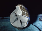 Polished and Natural XL Septerye Sauvage "Dragons Egg" Geode x 1 From Mahajanga, Madagascar