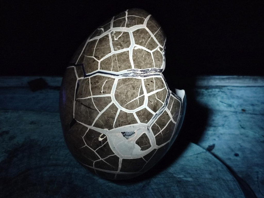 Polished and Natural XL Septerye Sauvage "Dragons Egg" Geode x 1 From Mahajanga, Madagascar