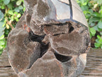 Polished and Natural XL Septerye Sauvage "Dragons Egg" Geode x 1 From Mahajanga, Madagascar