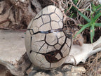 Polished and Natural XL Septerye Sauvage "Dragons Egg" Geode x 1 From Mahajanga, Madagascar