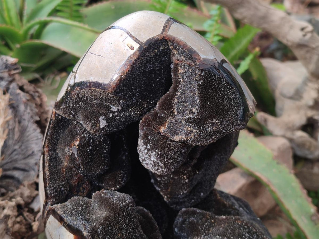 Polished and Natural XL Septerye Sauvage "Dragons Egg" Geode x 1 From Mahajanga, Madagascar