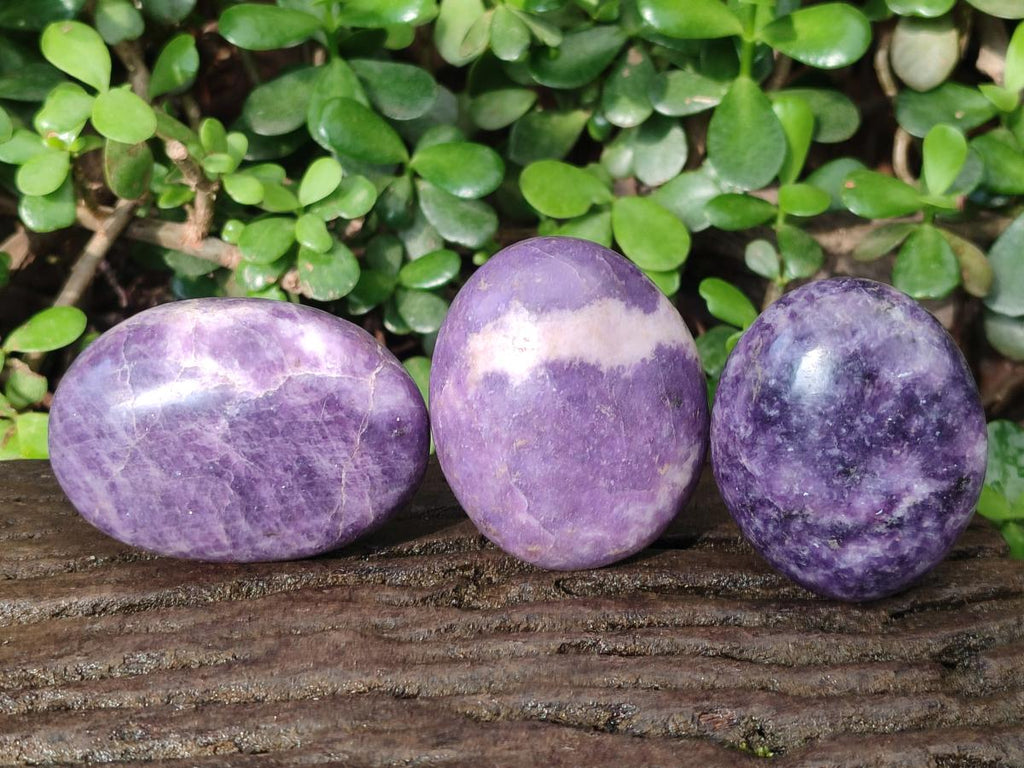 Polished Lepidolite Free Forms x 24 From Zimbabwe