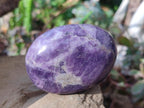 Polished Lepidolite Free Forms x 24 From Zimbabwe