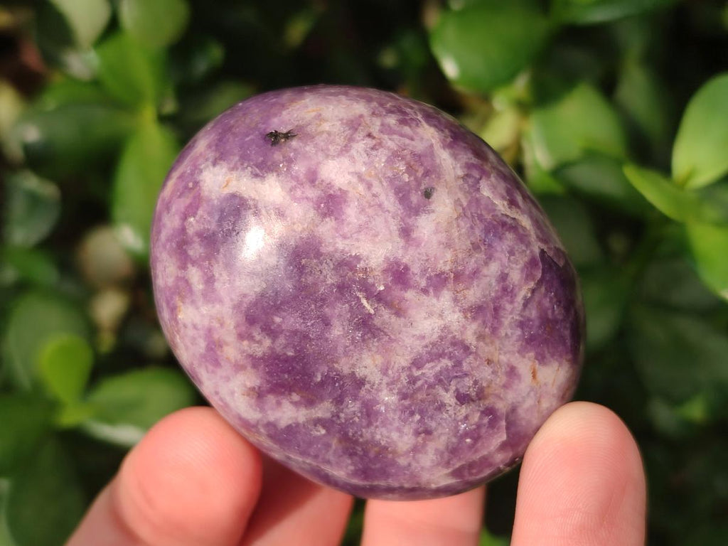 Polished Lepidolite Free Forms x 24 From Zimbabwe