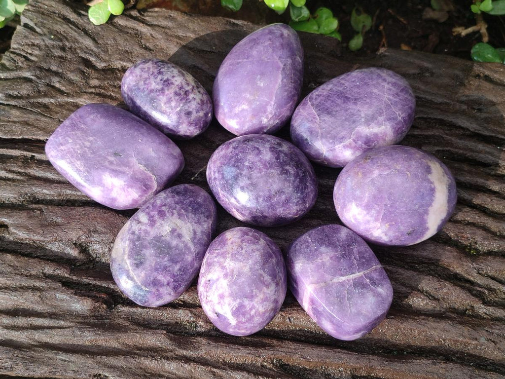 Polished Lepidolite Free Forms x 24 From Zimbabwe