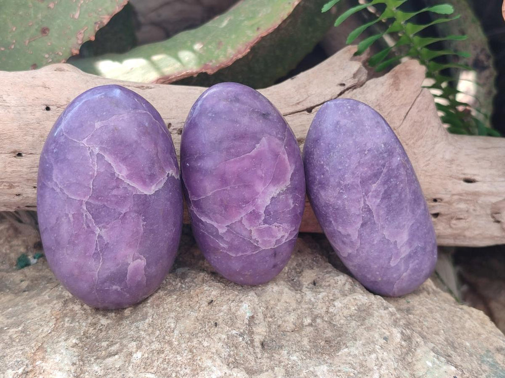 Polished Lepidolite Free Forms x 24 From Zimbabwe