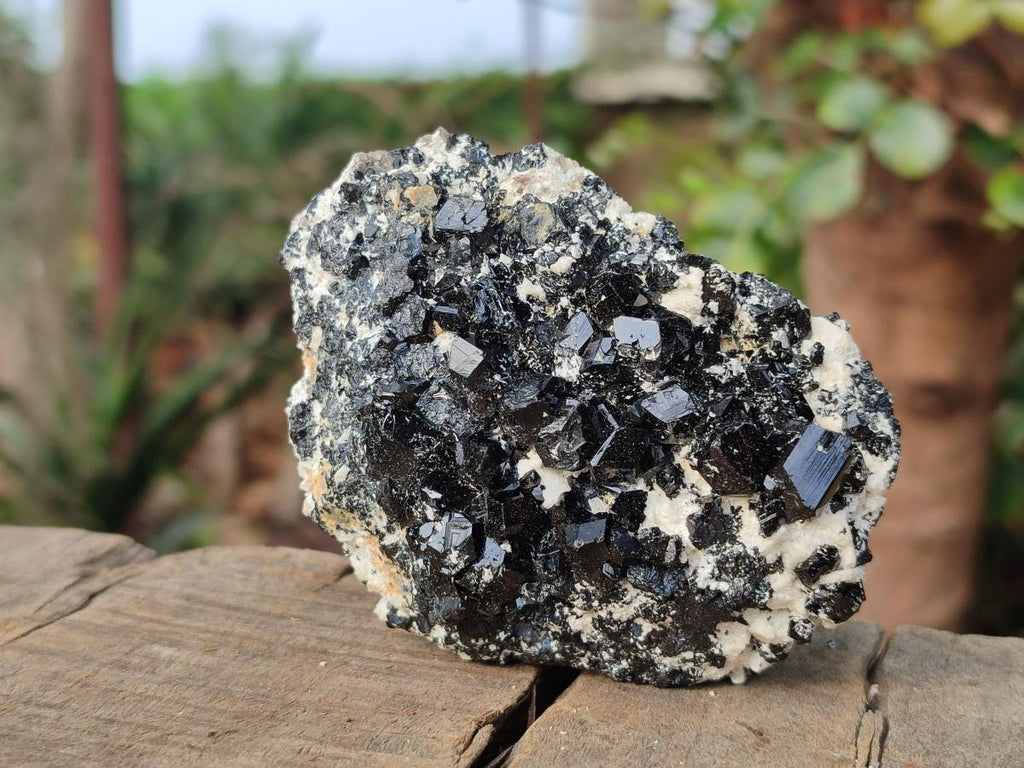 Natural Schorl Black Tourmaline Crystal and Cluster Specimens with Associated Minerals x 12 From Erongo, Namibia