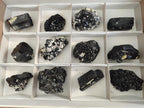 Natural Schorl Black Tourmaline Crystal and Cluster Specimens with Associated Minerals x 12 From Erongo, Namibia