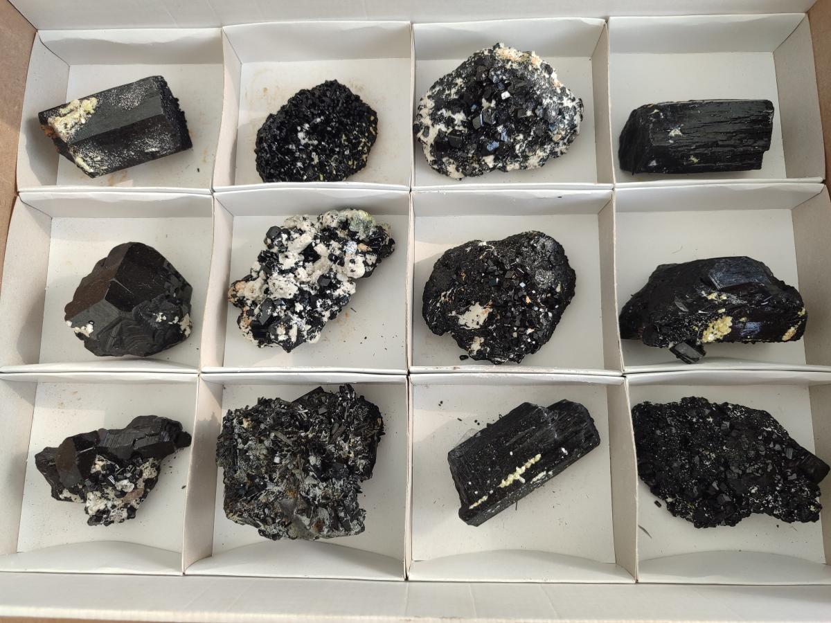 Natural Schorl Black Tourmaline Crystal and Cluster Specimens with Associated Minerals x 12 From Erongo, Namibia