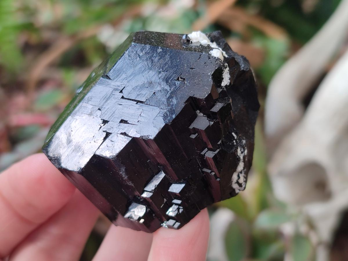 Natural Schorl Black Tourmaline Crystal and Cluster Specimens with Associated Minerals x 12 From Erongo, Namibia