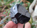 Natural Schorl Black Tourmaline Crystal and Cluster Specimens with Associated Minerals x 12 From Erongo, Namibia