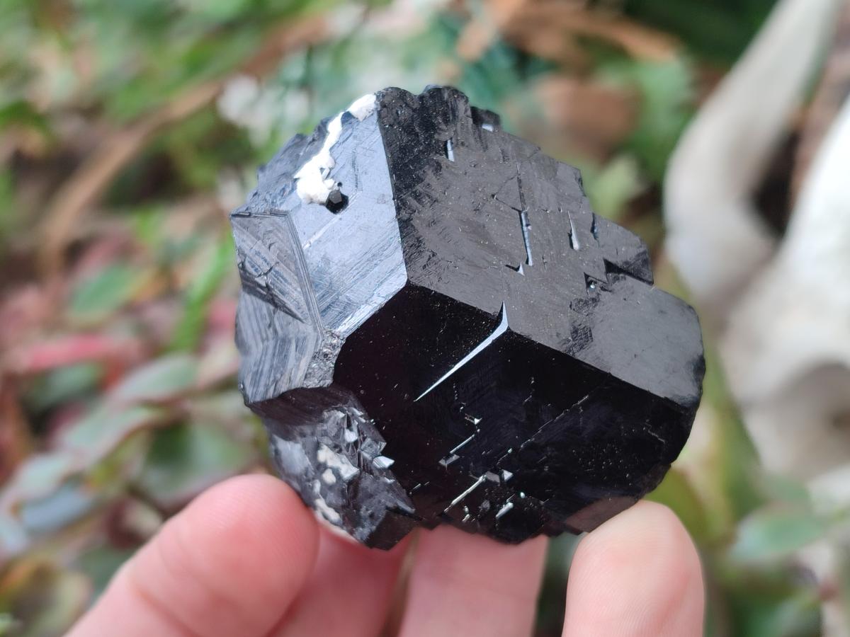 Natural Schorl Black Tourmaline Crystal and Cluster Specimens with Associated Minerals x 12 From Erongo, Namibia