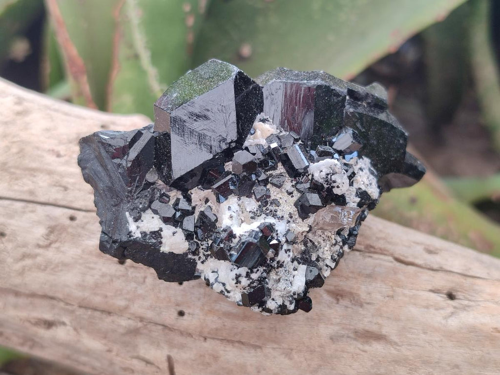 Natural Schorl Black Tourmaline Crystal and Cluster Specimens with Associated Minerals x 12 From Erongo, Namibia