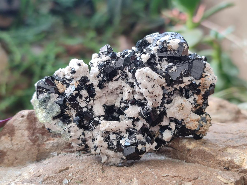 Natural Schorl Black Tourmaline Crystal and Cluster Specimens with Associated Minerals x 12 From Erongo, Namibia
