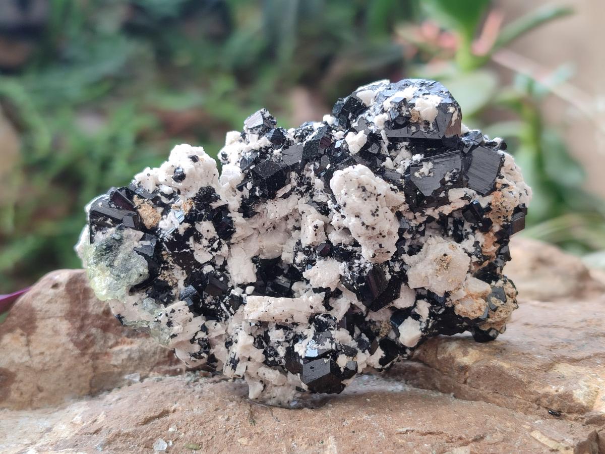 Natural Schorl Black Tourmaline Crystal and Cluster Specimens with Associated Minerals x 12 From Erongo, Namibia