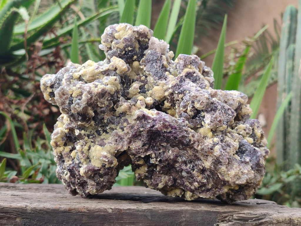 Natural Large Smokey Fluorite Specimen with Yellow Vermiculite Mica x 1 From Erongo, Namibia