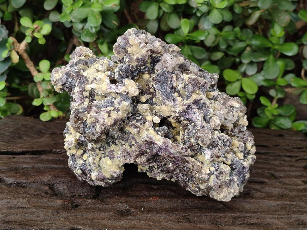 Natural Large Smokey Fluorite Specimen with Yellow Vermiculite Mica x 1 From Erongo, Namibia
