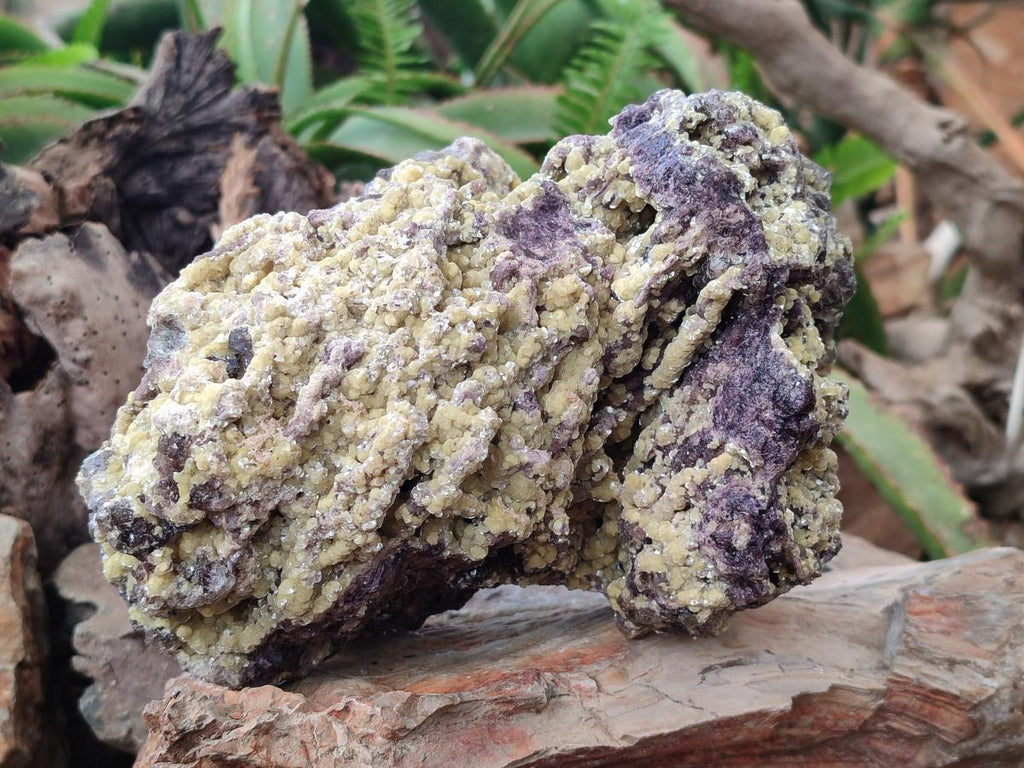 Natural Large Smokey Fluorite Specimen with Yellow Vermiculite Mica x 1 From Erongo, Namibia