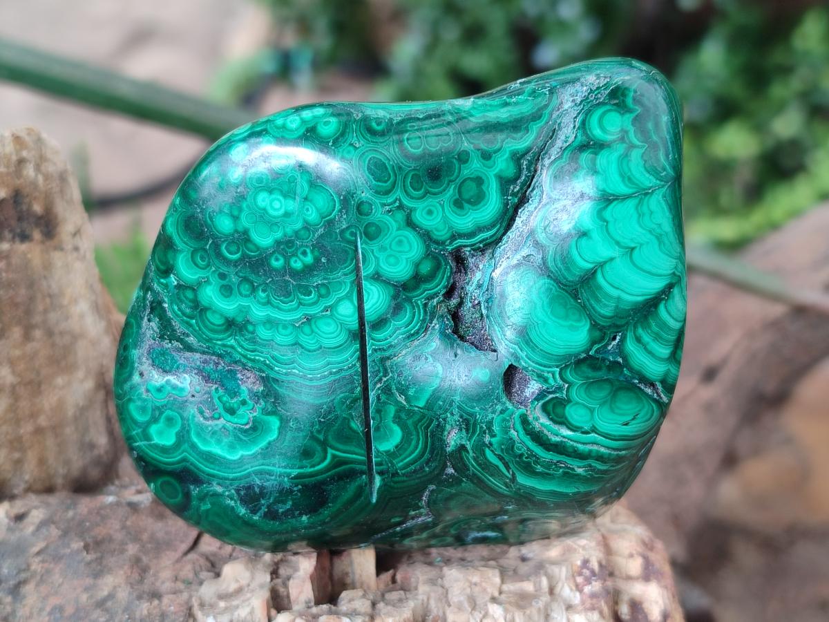 Polished and Natural Flower Banded Malachite Free Forms x 3 From Congo
