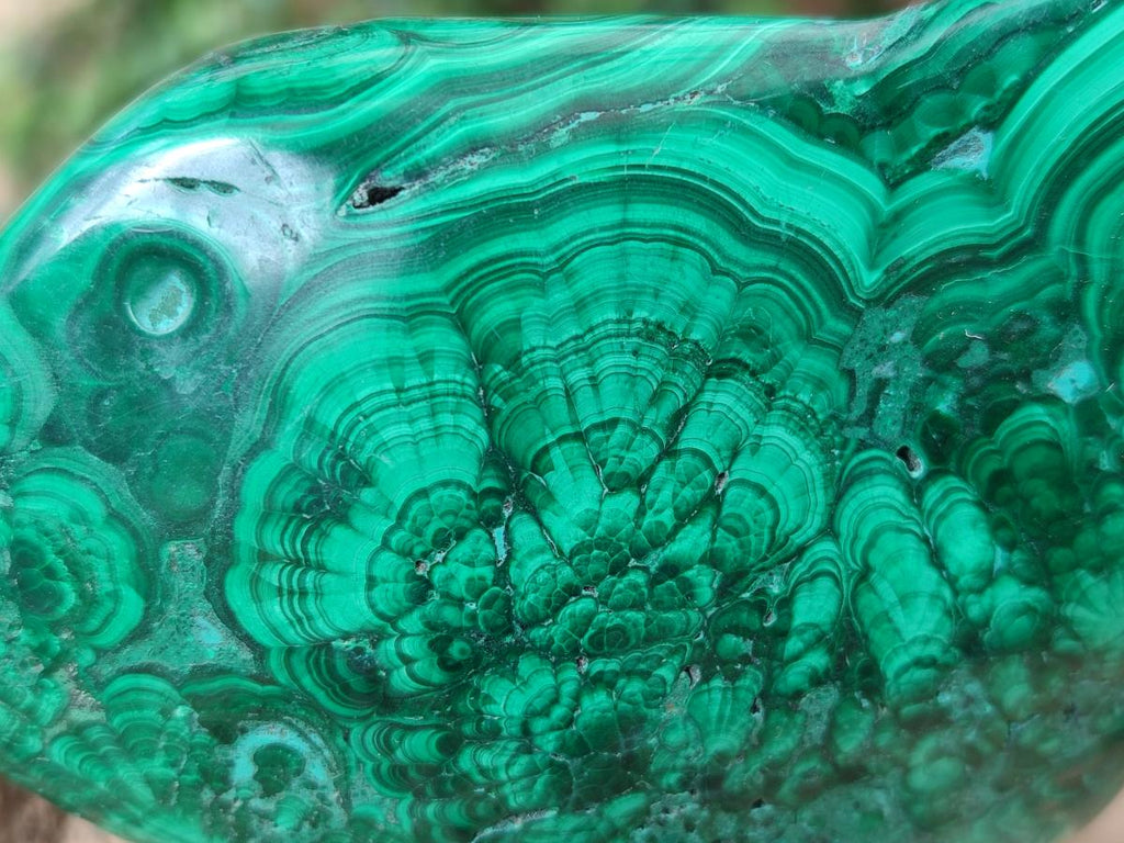 Polished and Natural Flower Banded Malachite Free Forms x 3 From Congo