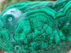 Polished and Natural Flower Banded Malachite Free Forms x 3 From Congo