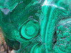 Polished and Natural Flower Banded Malachite Free Forms x 3 From Congo