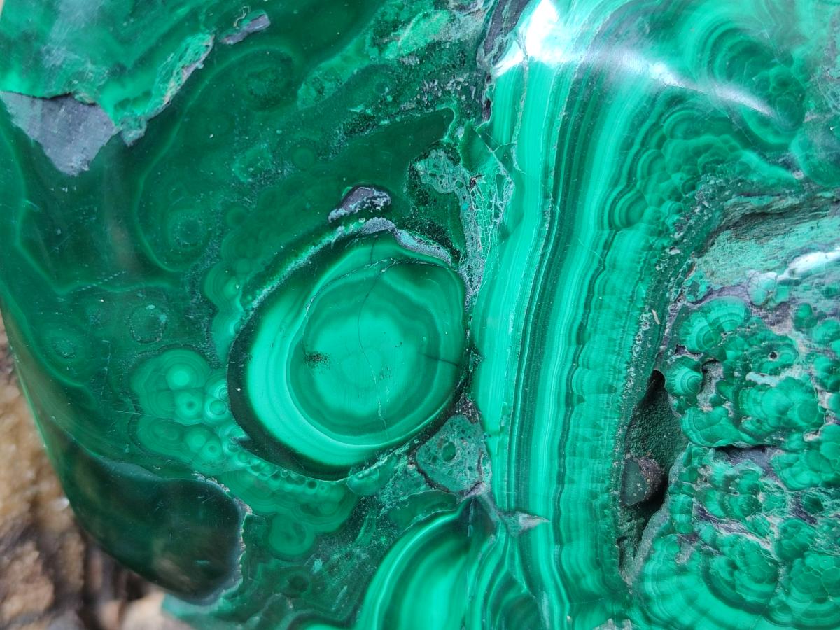 Polished and Natural Flower Banded Malachite Free Forms x 3 From Congo