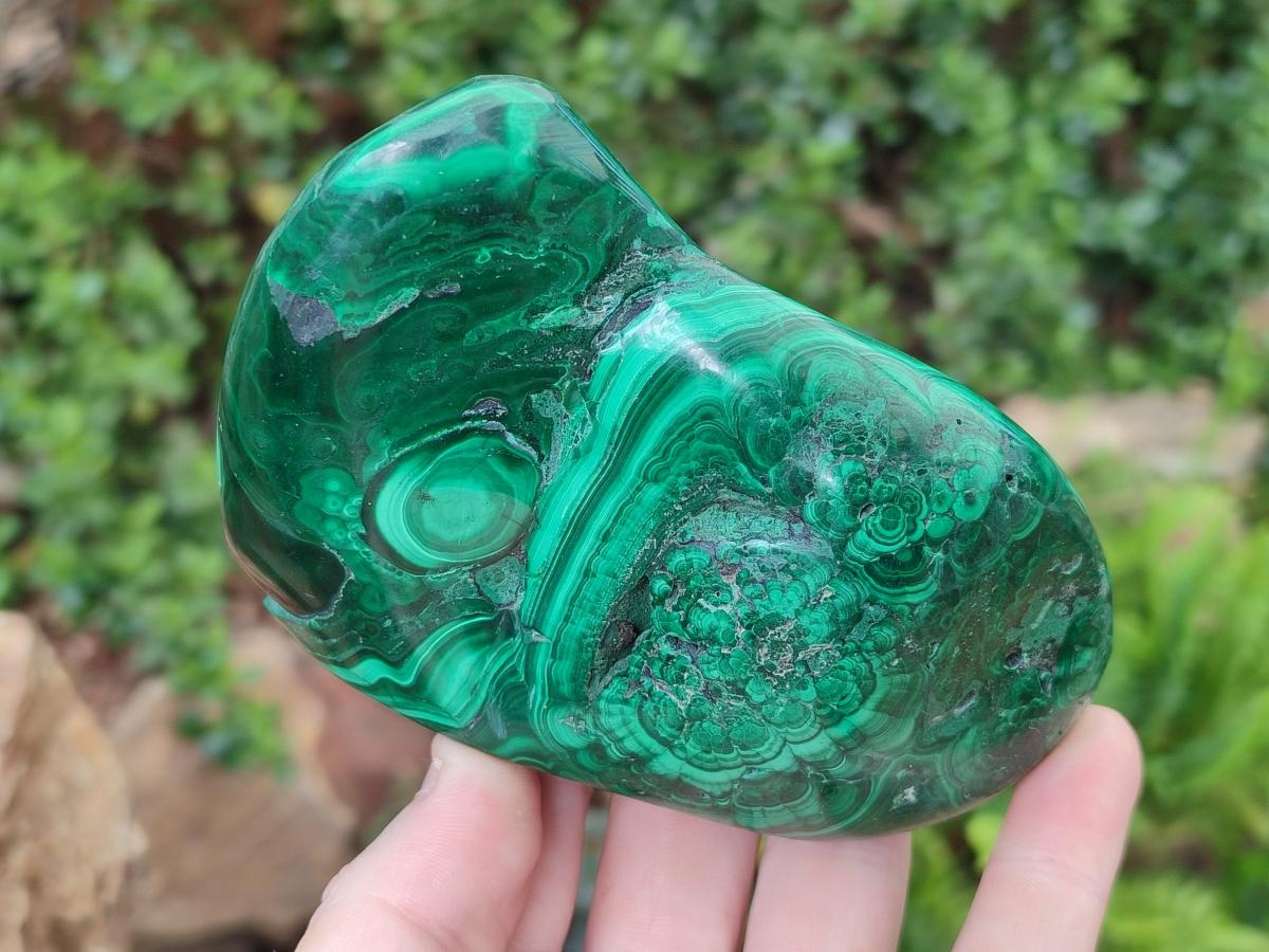 Polished and Natural Flower Banded Malachite Free Forms x 3 From Congo