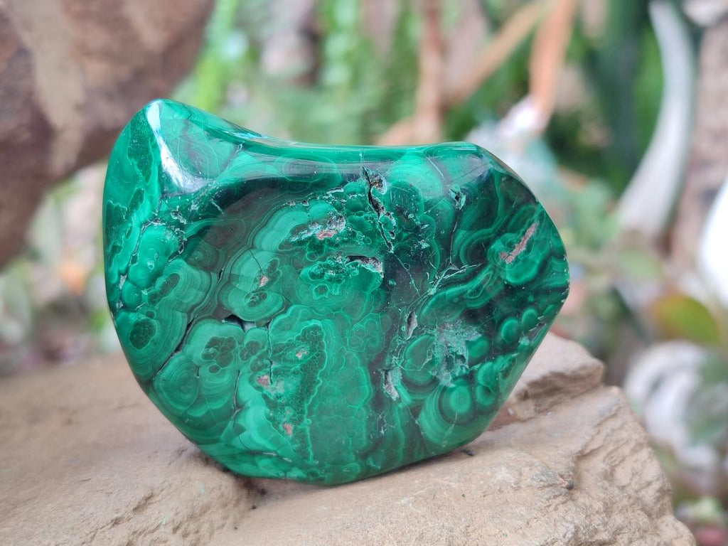 Polished and Natural Flower Banded Malachite Free Forms x 3 From Congo