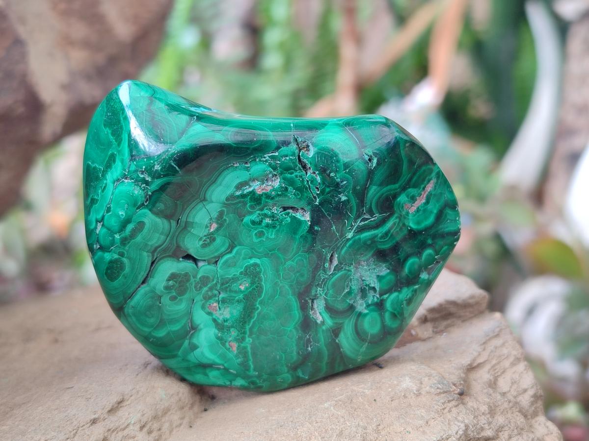 Polished and Natural Flower Banded Malachite Free Forms x 3 From Congo