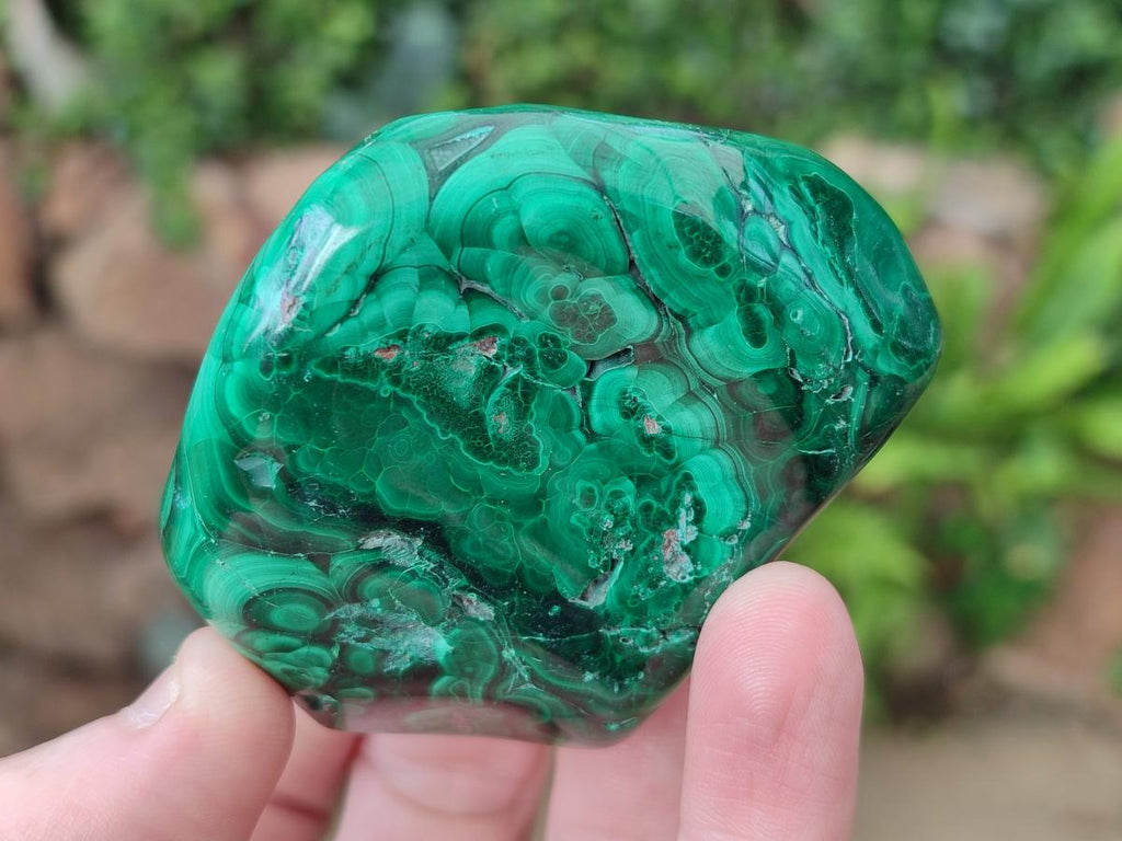 Polished and Natural Flower Banded Malachite Free Forms x 3 From Congo