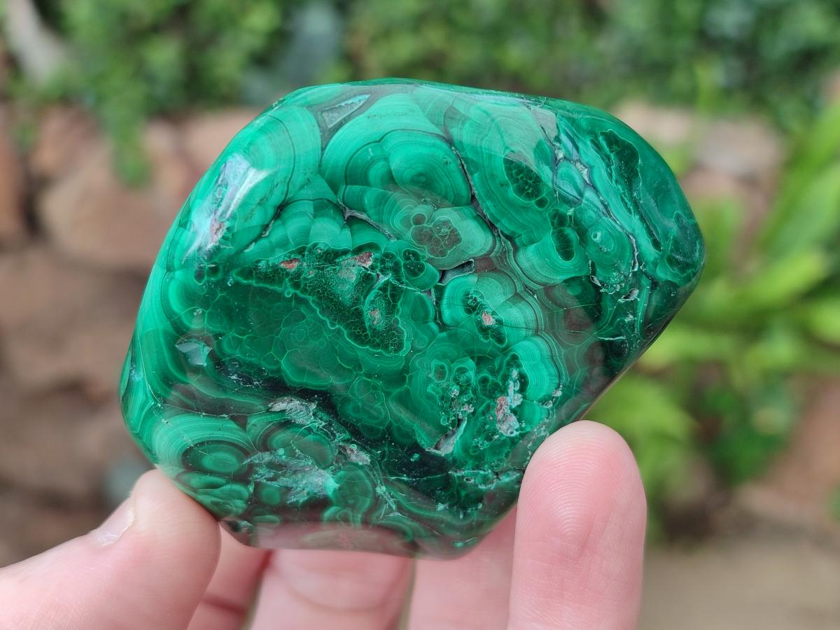 Polished and Natural Flower Banded Malachite Free Forms x 3 From Congo