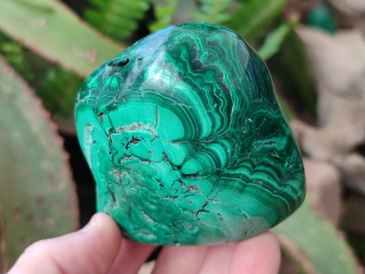 Polished and Natural Flower Banded Malachite Free Forms x 3 From Congo