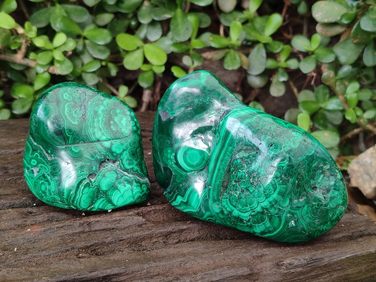Polished and Natural Flower Banded Malachite Free Forms x 3 From Congo