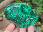 Polished and Natural Flower Banded Malachite Free Forms x 3 From Congo