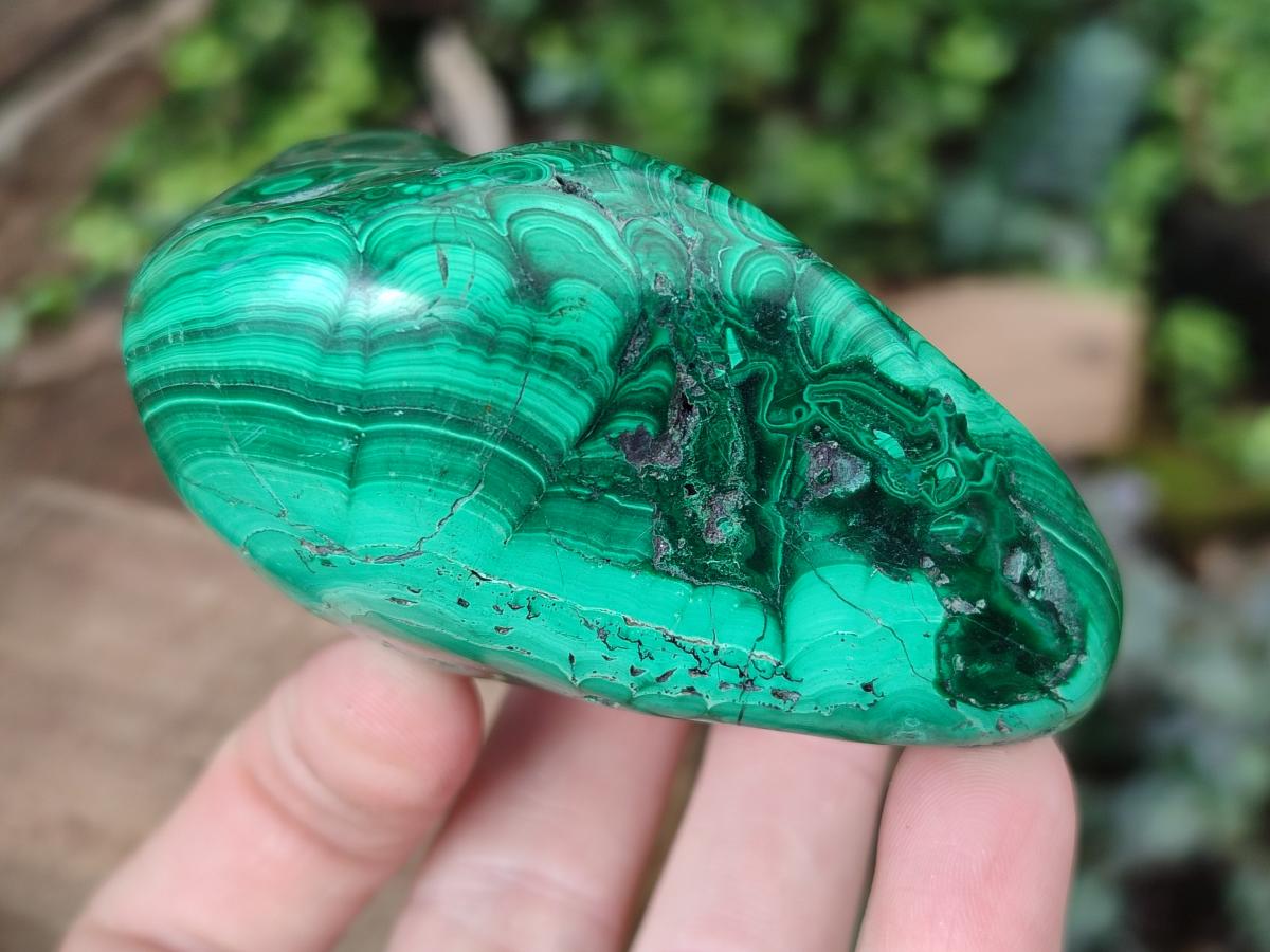 Polished and Natural Flower Banded Malachite Free Forms x 3 From Congo