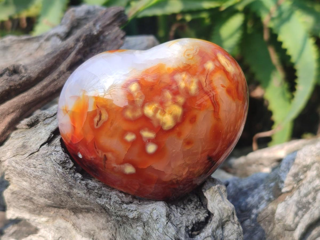 Polished Carnelian Agate Gemstone Hearts x 6 From Madagascar