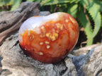 Polished Carnelian Agate Gemstone Hearts x 6 From Madagascar