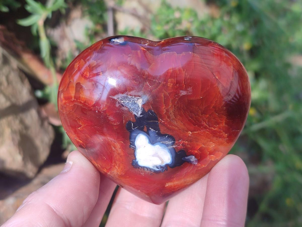 Polished Carnelian Agate Gemstone Hearts x 6 From Madagascar