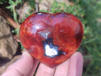 Polished Carnelian Agate Gemstone Hearts x 6 From Madagascar
