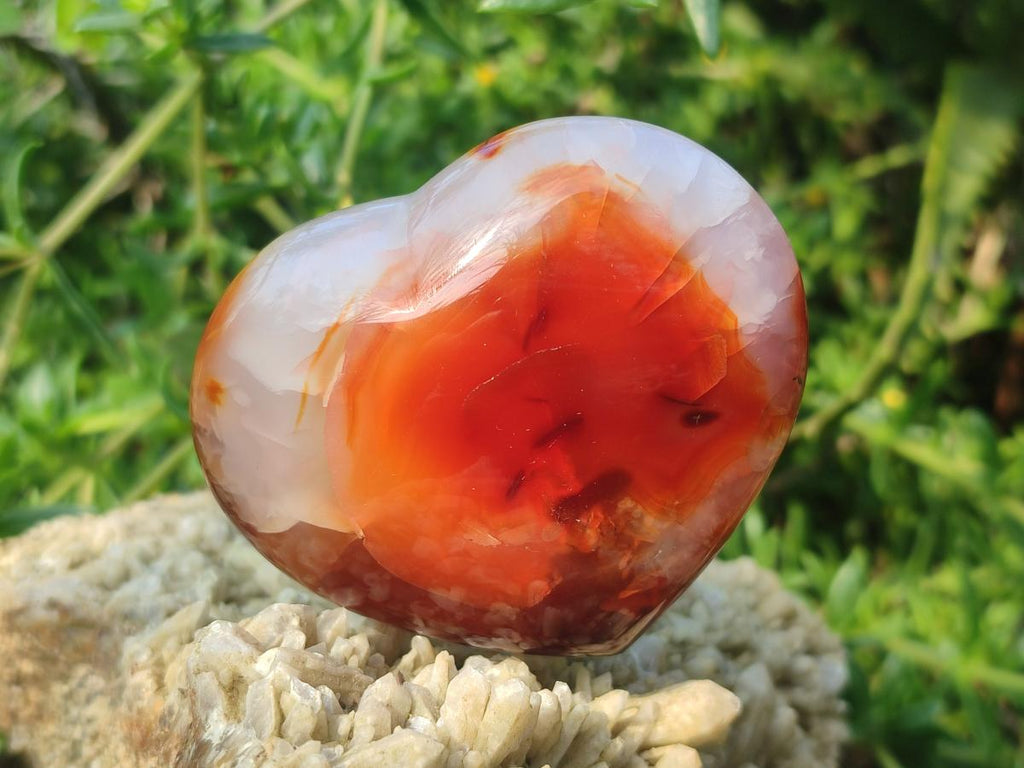 Polished Carnelian Agate Gemstone Hearts x 6 From Madagascar