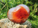 Polished Carnelian Agate Gemstone Hearts x 6 From Madagascar