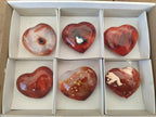 Polished Carnelian Agate Gemstone Hearts x 6 From Madagascar