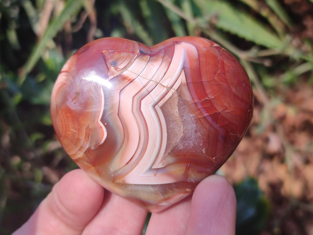 Polished Carnelian Agate Gemstone Hearts x 6 From Madagascar